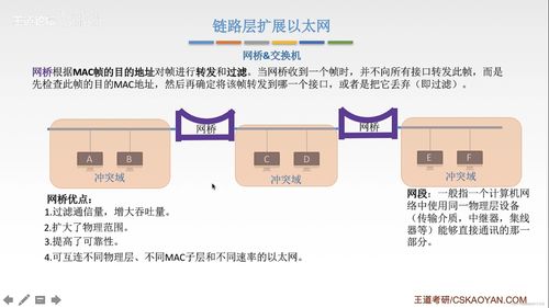 局域網(wǎng) 計(jì)算機(jī)網(wǎng)絡(luò)信息管理與服務(wù)的基石