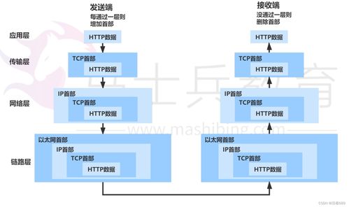 計(jì)算機(jī)網(wǎng)絡(luò)信息管理與服務(wù)