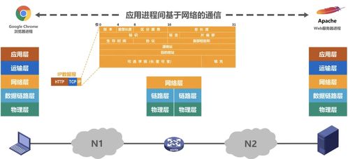 計(jì)算機(jī)網(wǎng)絡(luò)概述與信息管理與服務(wù)