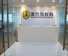 啄木鳥教育 無(wú)資質(zhì)留學(xué)中介服務(wù)背后的自費(fèi)留學(xué)隱憂